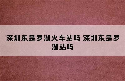 深圳东是罗湖火车站吗 深圳东是罗湖站吗